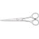 ciseaux de coiffeur inox lames 17cm