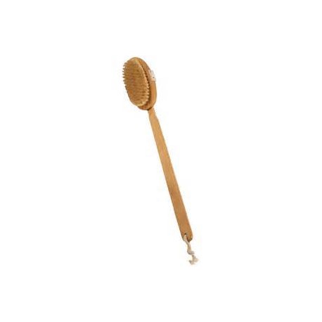 brosse à dos en bois