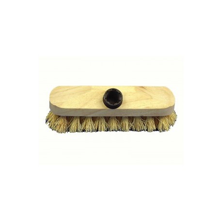 balai brosse chien dent